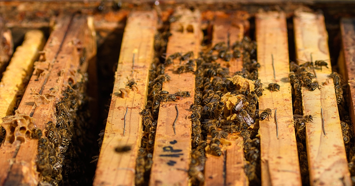 Meg kell vizsgálni  a családok tulajdonságait
